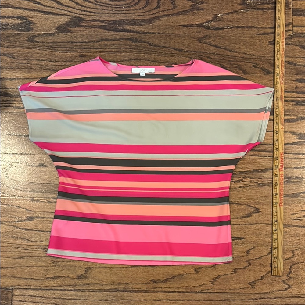 Striped Pink and Gray Women's Top by Loft